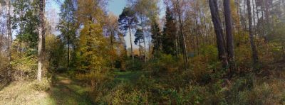 photo 666c4e774dddc_thumb.jpg