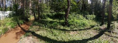 photo 666c4e77c8ae4_thumb.jpg