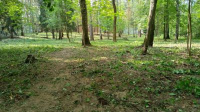 photo 6866666fa45bc_thumb.jpg