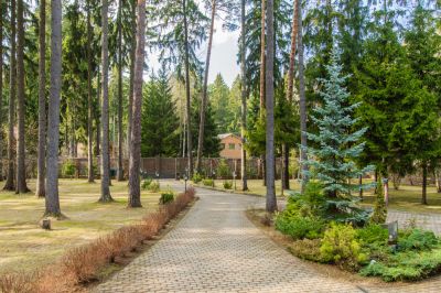 photo 63be08b88857f_thumb.jpg