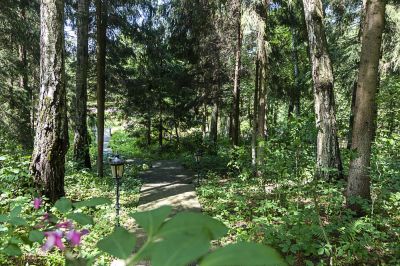 photo 63be0a6c1acc6_thumb.jpg