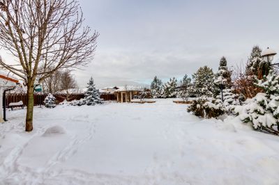 photo 63be0af829822_thumb.jpg