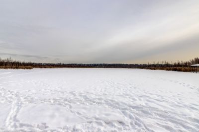 photo 63be0affc8b7a_thumb.jpg