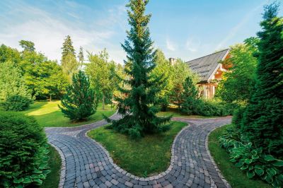 photo 68dba7dab6d08_thumb.jpg