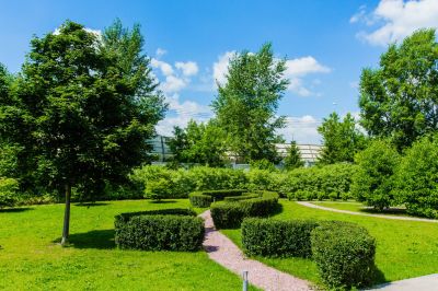 photo 63be0d993fa33_thumb.jpg