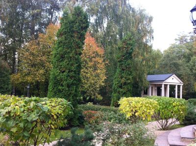 photo 63be0e1acb1ab_thumb.jpg