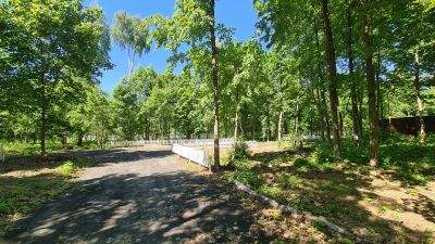 photo 63be107114bba_thumb.jpg