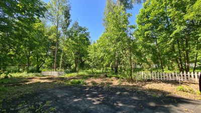 photo 63be1071ec33d_thumb.jpg