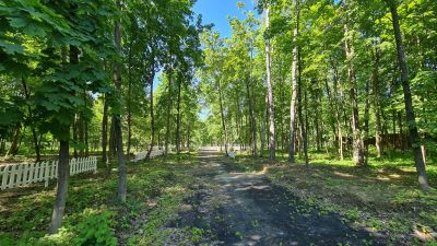 photo 63be10754a2f3_thumb.jpg