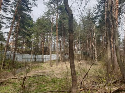 photo 63be1243e2a3a_thumb.jpg