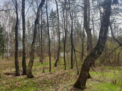 photo 63be1244acc8a_thumb.jpg