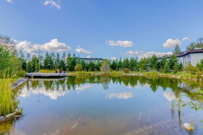 photo 63be16b18084c_thumb.jpg