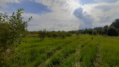 photo 63be17f643617_thumb.jpg