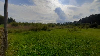 photo 63be17f7535f2_thumb.jpg