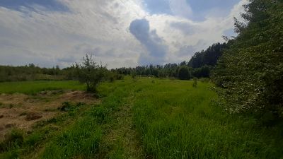 photo 63be17f8609bf_thumb.jpg