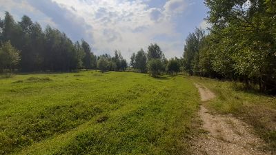 photo 63be17f96e6e1_thumb.jpg