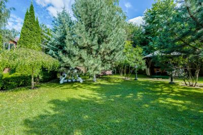 photo 63be18e421dc7_thumb.jpg