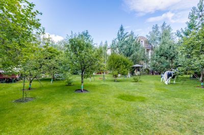 photo 63be18e5aec67_thumb.jpg