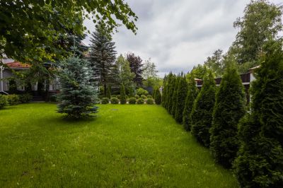 photo 6704f2dbddf43_thumb.jpg