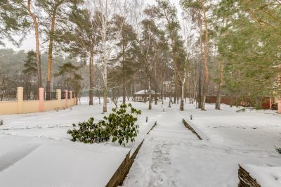 photo 63be22b42f905_thumb.jpg