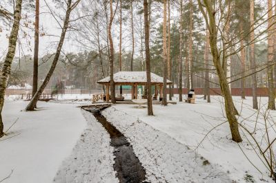 photo 63be22c0035a9_thumb.jpg