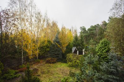 photo 65363eebae3bd_thumb.jpg