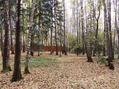 photo 63be27e3de4df_thumb.jpg