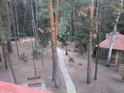 photo 63be2938464d1_thumb.jpg