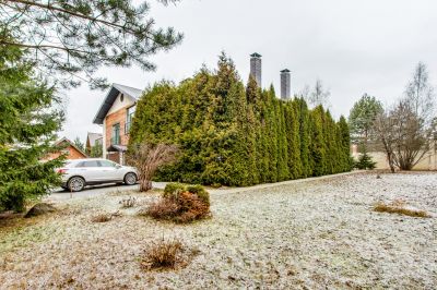 photo 63be2974b672f_thumb.jpg