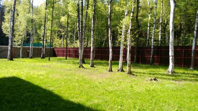 photo 63be302be2ae5_thumb.jpg