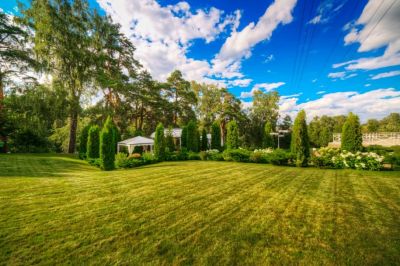 photo 63be334a5ae38_thumb.jpg