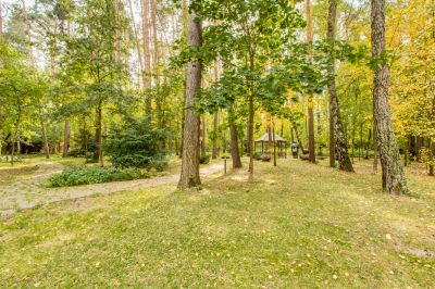 photo 63be368bcf74d_thumb.jpg