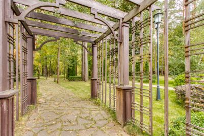 photo 63be368e5d69d_thumb.jpg