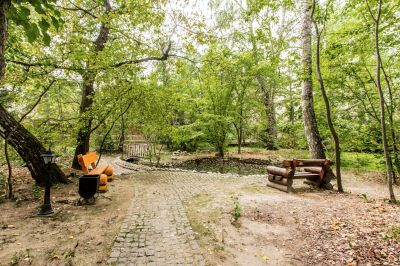 photo 63be36aedf42f_thumb.jpg