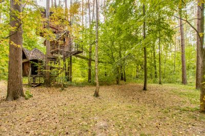 photo 63be36b4784eb_thumb.jpg