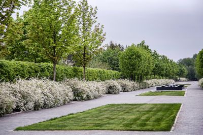 photo 63be3c634ca9a_thumb.jpg