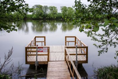 photo 63be3c68542fa_thumb.jpg