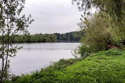 photo 63be3c68bbcff_thumb.jpg