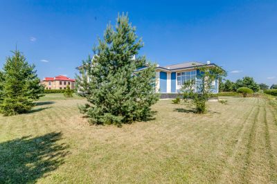 photo 63be5726b5fcb_thumb.jpg