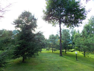 photo 63be942b6295e_thumb.jpg