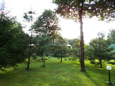 photo 63be942b94771_thumb.jpg