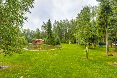 photo 63be94c81d49e_thumb.jpg