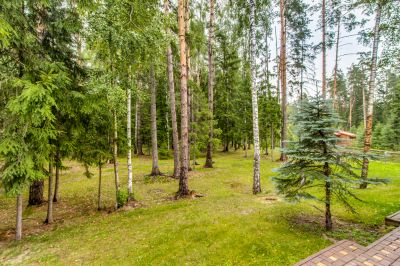 photo 63be94c9655a8_thumb.jpg