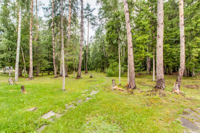 photo 63be94cea2ddf_thumb.jpg