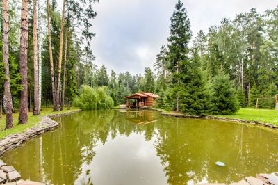 photo 63be94d008b24_thumb.jpg