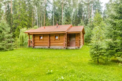 photo 63be94e09f1a7_thumb.jpg