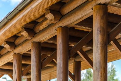 photo 63be97044856d_thumb.jpg