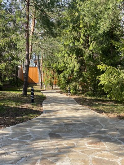 photo 645ccad2a1a1d_thumb.jpg