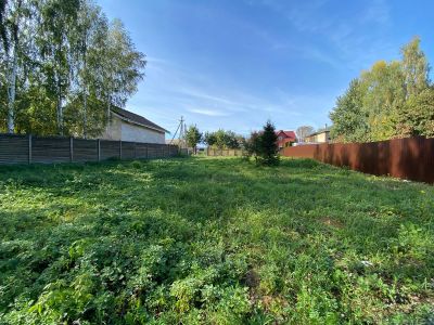 photo 6508520c209a5_thumb.jpg