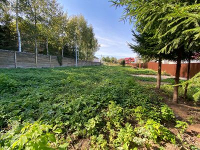 photo 6508520d4cc16_thumb.jpg